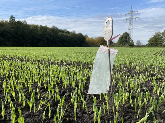 Fundmarkierung im Feld