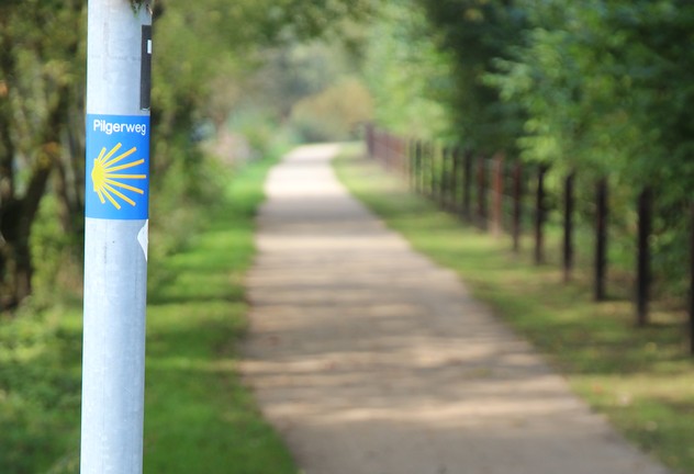 Ein Feldweg, im Vrodergrund ein Rohrpfosten, an den die Kennzeichnung des Pilgerwegs angebracht ist.