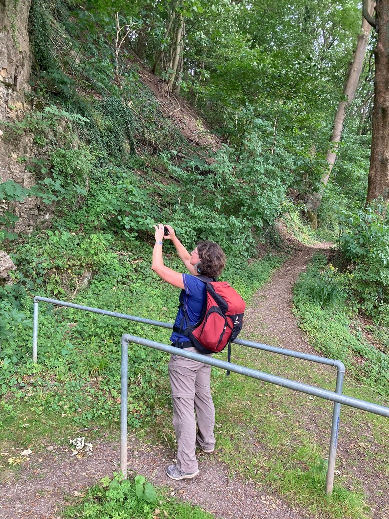 Entdeckung