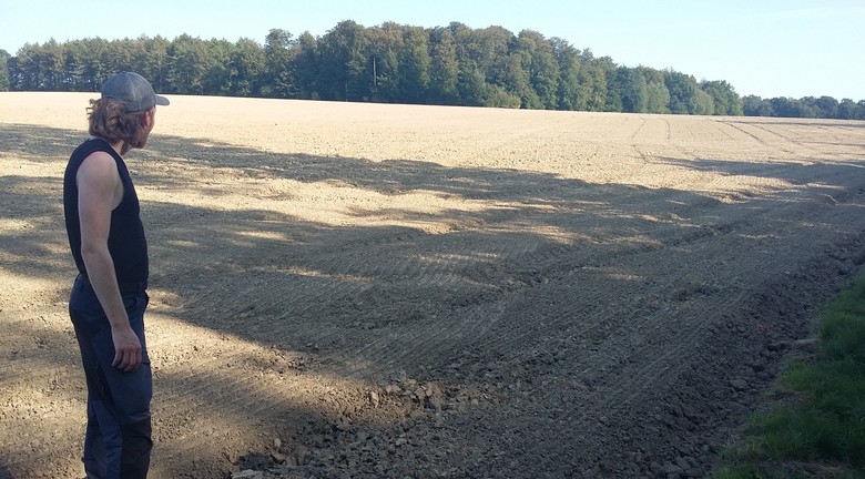 Surveyteilnehmer Felix blickt über das Feld.