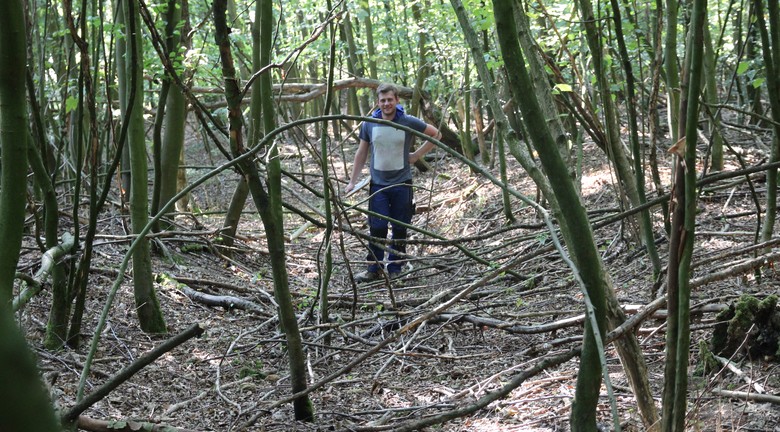 Schwer erkennbare Hohlwegspuren im Wald.