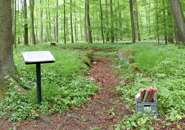 Das Galeriegrab von Rimbeck, von Bärlauch umwuchert (Foto: Altertumskommission/L. Kopner).