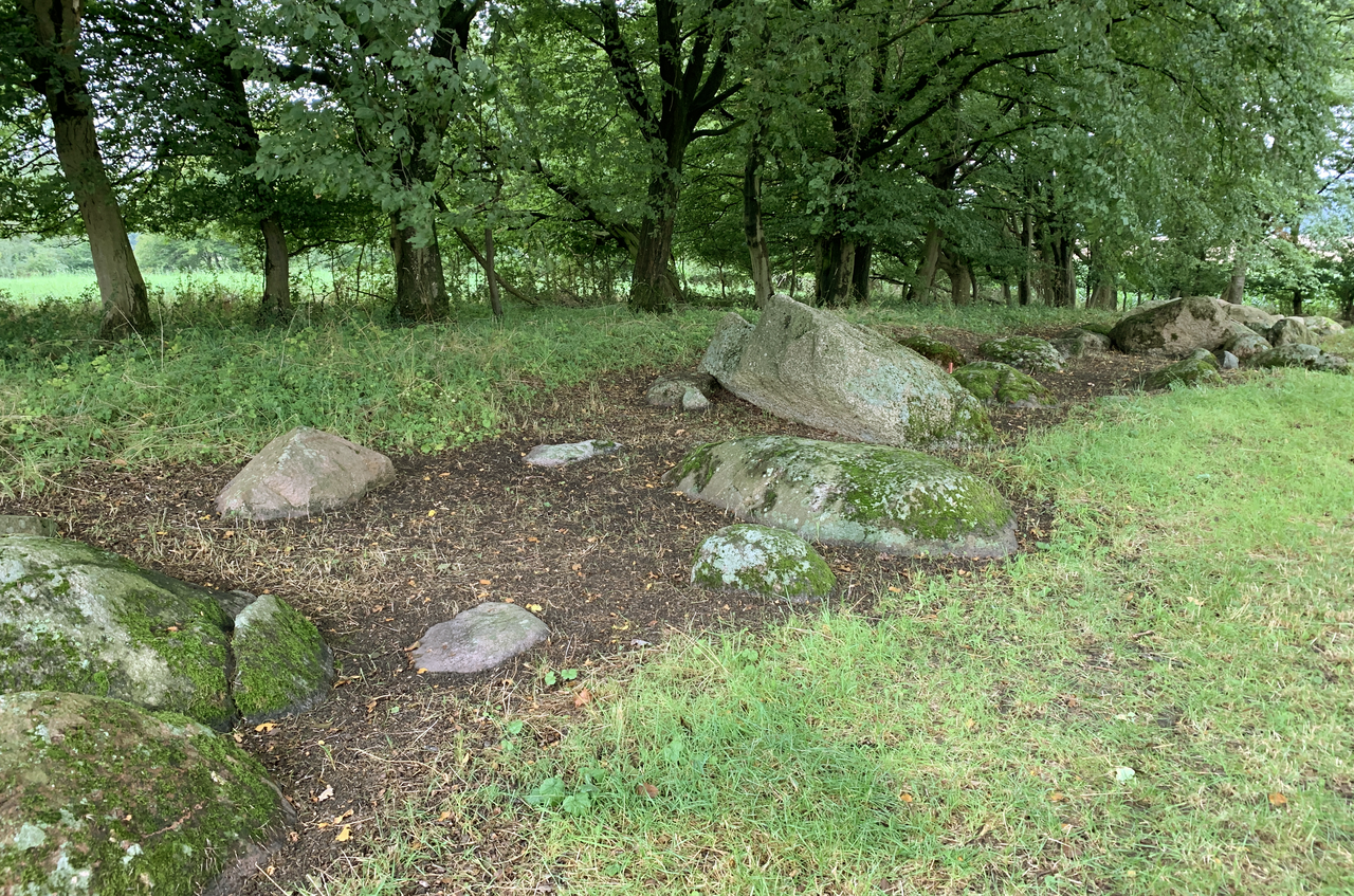 Das Megalithgrab Beckum-Dalmer II vor der Ausgrabung.
