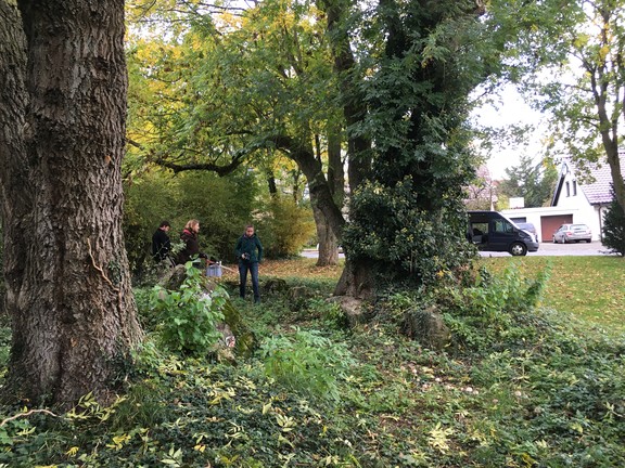 Die Volontär*innen begutachten den Zustand des Grabes (Foto: Altertumskommission/A. Reck)