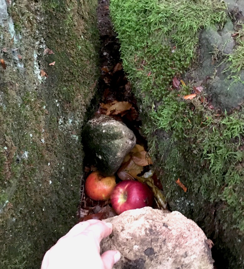 "Kultische Deponierung" mehrer Äpfel zwischen den Steinen.